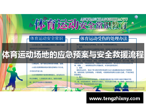 体育运动场地的应急预案与安全救援流程