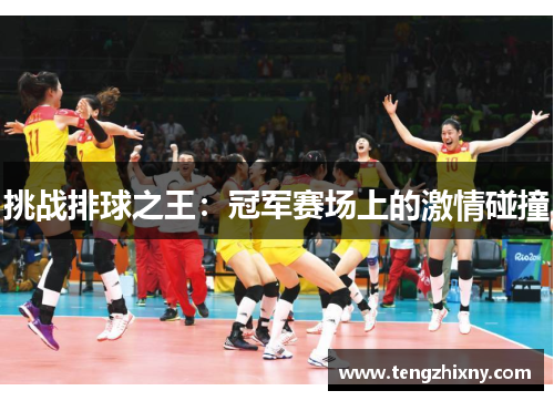 挑战排球之王：冠军赛场上的激情碰撞