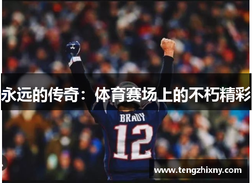 永远的传奇：体育赛场上的不朽精彩
