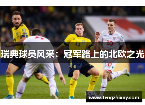 瑞典球员风采：冠军路上的北欧之光